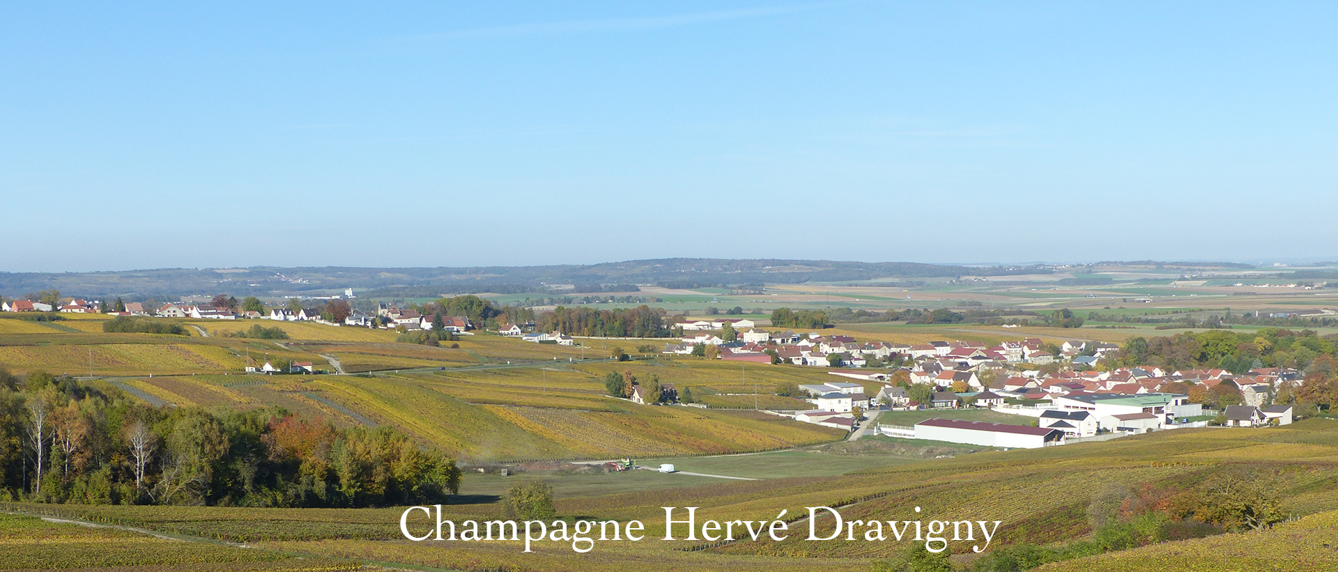 Champagne Hervé Dravigny